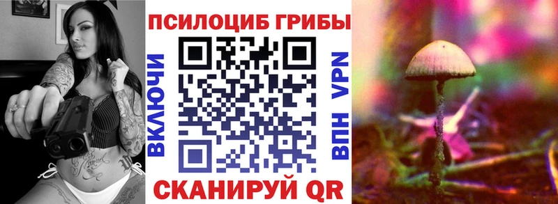 kraken маркетплейс  Сатка  Псилоцибиновые грибы мицелий  продажа наркотиков 